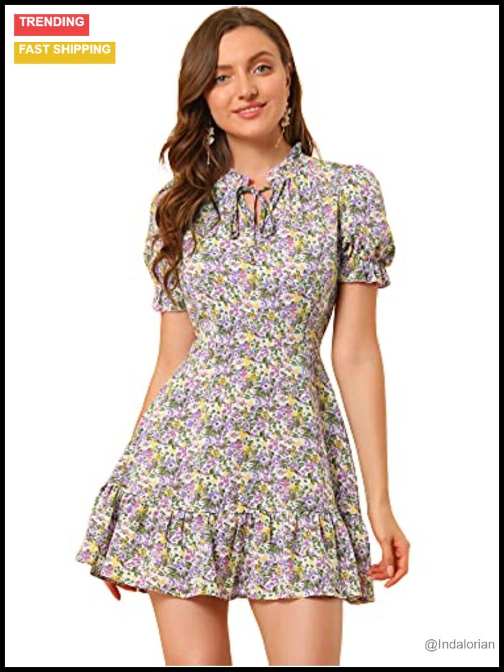 Floral Chiffon Mini Dress Ruffle Hem Puff Short Sleeve A-Line